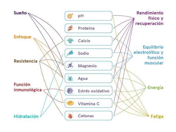 Vivoo Wellness Test - Imagen 9